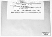 Leratiomyces percevalii image